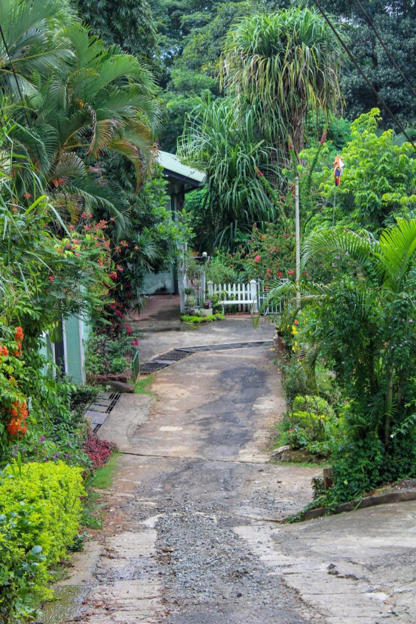 New Nethmi Villa Kandy Exterior foto